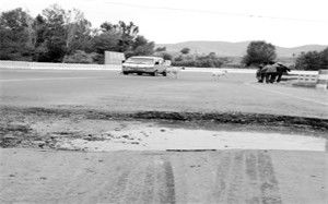 桩基有点翻浆能建房子吗