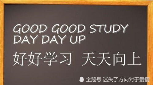 see翻译是什么意思，seek翻译