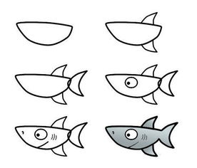 鲨鱼是怎么画的