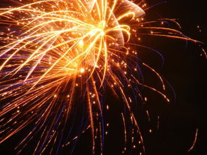 什么什么夺目的成语