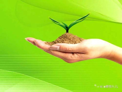 自满是什么意思