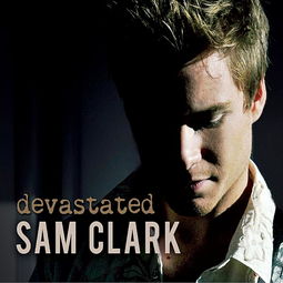 devastate的名词和形容词，devastate