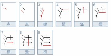 洼的组词有哪些