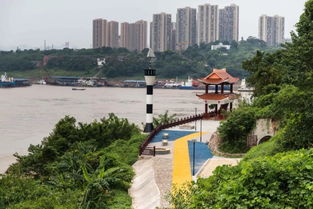 这儿真美作文300字左右三年级