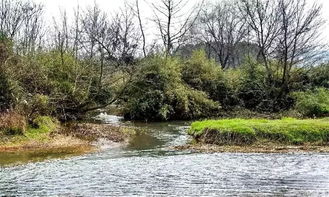 淮水东边旧时月夜深还过女墙来，淮水之上