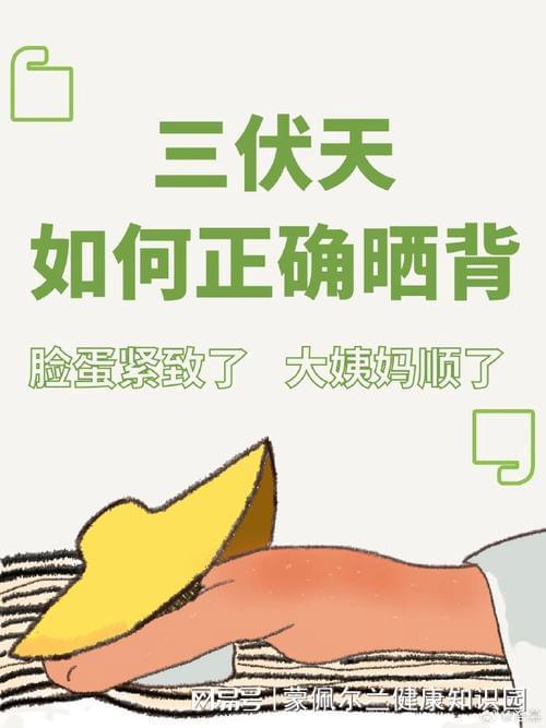 三伏天是什么意思