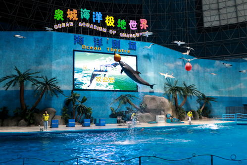 济南泉城海底世界导游济南泉城海洋极地世界地址