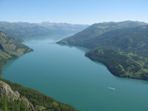喀纳斯湖大红鱼视频，喀纳斯湖大红鱼是真的吗