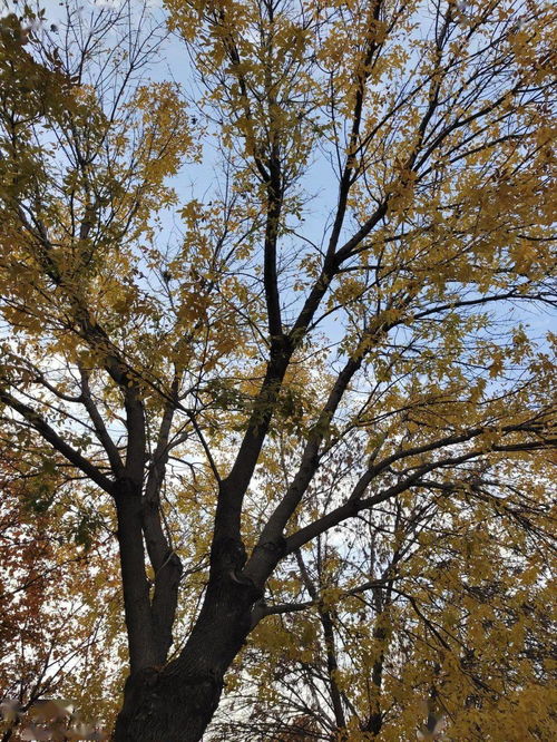 绵绵不断什么意思?出处是哪里?