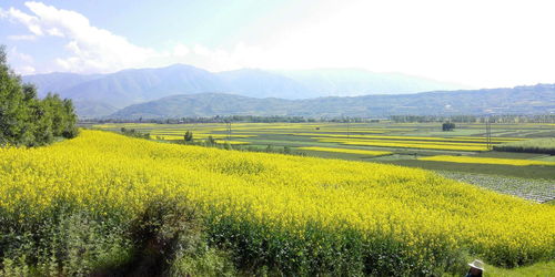 临夏天气预报15天准确率，临夏天气预报当地15天查询
