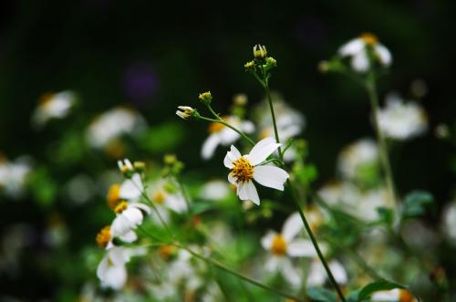 什么的春雨填空词语二年级，什么的春雨填合适词语二年级下册