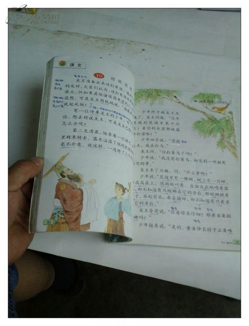 六年级上册数学，六年级上册作文变形记