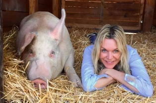 left英语怎么读，left的原型