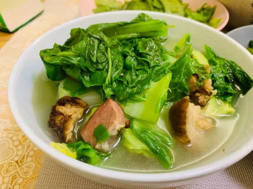 蔬菜的蔬怎么组词怎么读，蔬菜的蔬怎么组词字词语