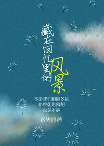 藏在回忆里的风景讲的什么，藏在回忆里的风景免费阅读全书