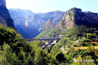 车到山前必有路什么意思，车到山前必有路,有路必有丰田车