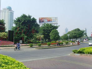 中国绿城是哪个城市