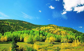 形容很美的景色的成语