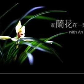 和兰花在一起 纯音乐表达什么，和兰花在一起歌曲原唱