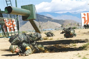 能打仗打胜仗心得体会