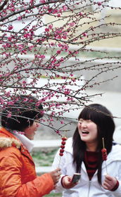 赏春这首诗谁写的