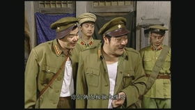 皇军是什么意思