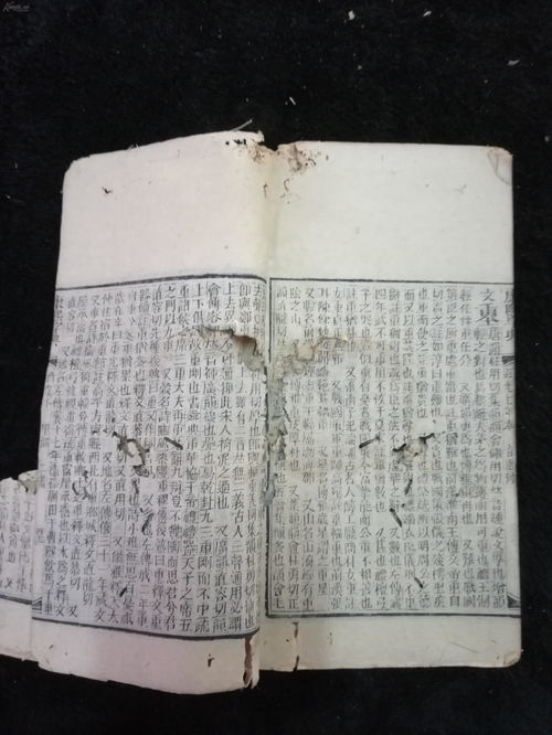 名开头的成语，命开头的成语接龙