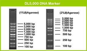 biomarker是什么意思，filmmarker是什么意思