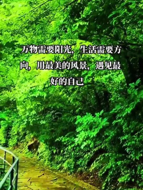 手抄报阳光生活资料