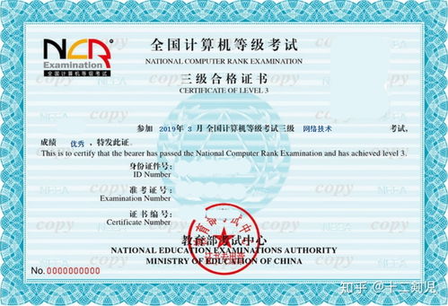 计算机水平怎么填?