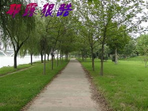 沙河天气预报15天气预报，沙河天气预报一周