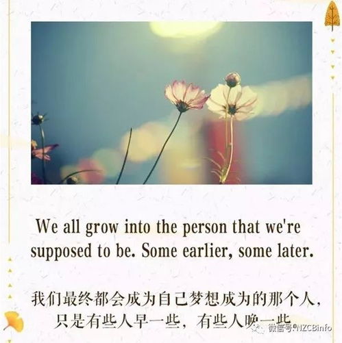 回忆的英文名词，回忆的英文翻译