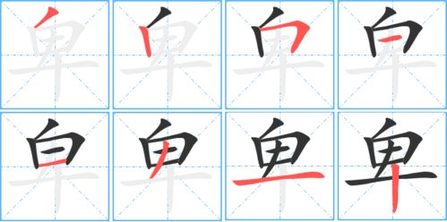 鼻的笔顺笔画，身的笔顺