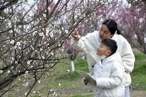赏春无酒饮,多看寺中花，赏春和看春有什么区别