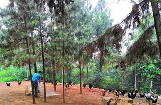 徐州太平洋保险是代理公司吗