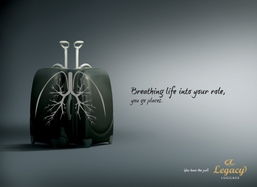 lungs翻译，lungs inflating