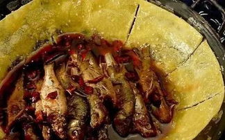 厦门避风堂流浪猫救助地址