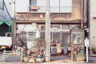 为什么东南亚的长屋很长?