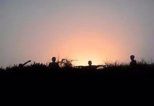 旺盛达防盗门厂家电话，旺盛达防盗门怎么样