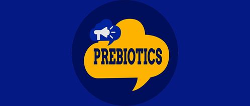 持续是什么意思