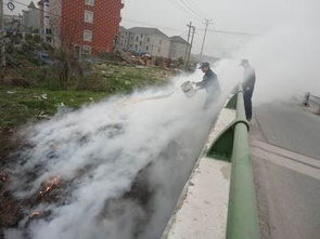 消弭是什么，消弭和消弭哪个正确