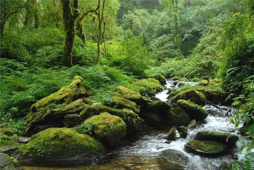 千家寨堡子在哪儿