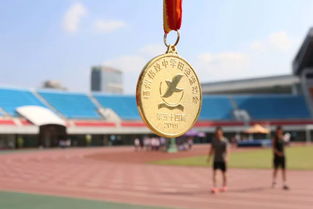 伊始之地，伊始之地动物攻略