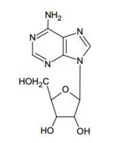 碱的化学式结构，硫酸的化学式