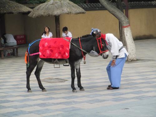 骑驴看唱本下一句，骑驴看唱本是什么歇后语