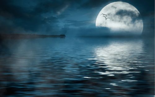 什么潮水连江平海上明月共潮生?