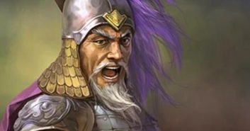 义释严颜的是谁，义释严颜是真的吗