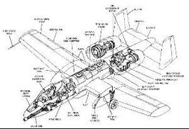 翼是什么结构的字,部首是什么?全字共几画?，翼,是什么结构