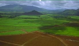 一亩地是几米x几米，一分田有多少个平方怎么算