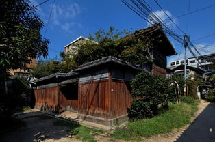 长屋晴子，长屋王怎么读